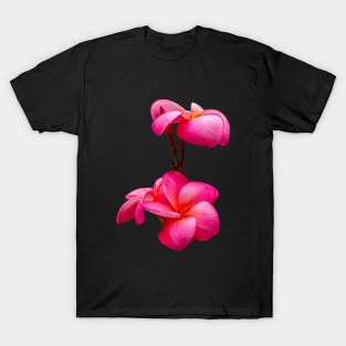 Frangapani flowers T-Shirt